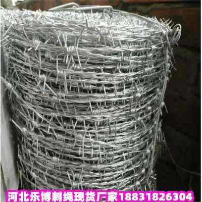 ƽ\KF(xin)؛SҺӱ·B(yng)oFzW(wng)ػʍu·B(yng)oF
