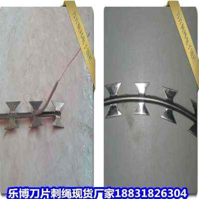 ӱ\ƬKF(xin)؛SҺĮӱO(jin)zo(h)
