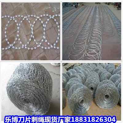 ӱ\ƬKF(xin)؛S㽭Ƭ̽zL\xO(jin)zo(h)W(wng)