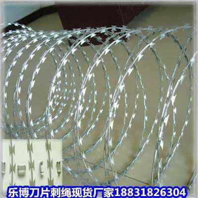 ӱ\ƬKF(xin)؛SҺIW(wng)QW(wng)