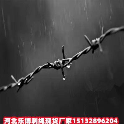 ӱ\KF(xin)؛SҺӱȦɽFzW(wng)Ȧ䓽zW(wng)