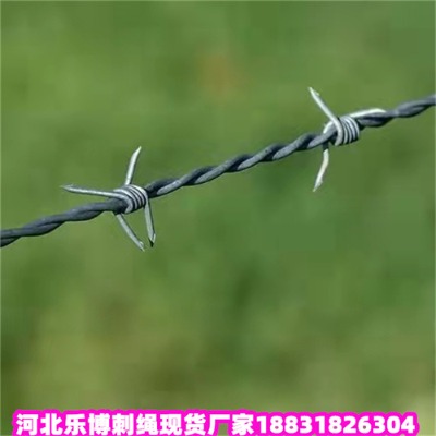 (ni)ɹ\KSֱ100pvcܴ̾W(wng)(l)(yng)