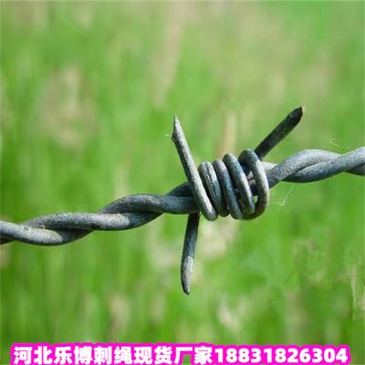 (yng)\KS7дFzW(wng)(l)(yng)