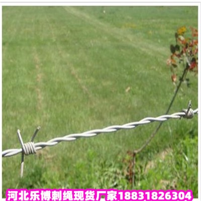 V|\KS7Ȧ䓽zW(wng)F(xin)؛