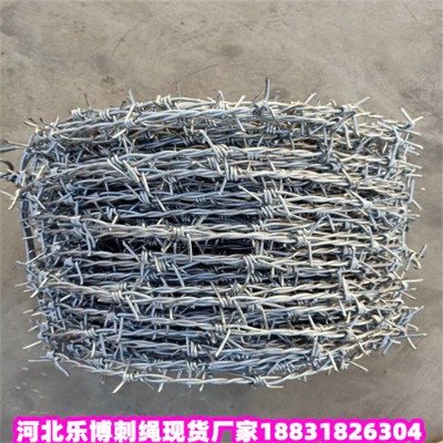 ɶ\KS2.5׹·䓽zW(wng)(yng)