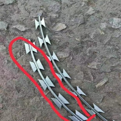 \Ƭ̽zL\SҺɹݵƬ̽zW(wng)