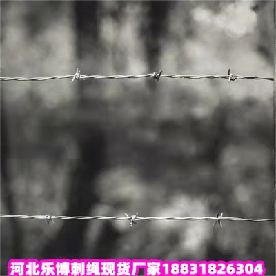 \KS5\K̾W(wng)F(xin)؛(yng)