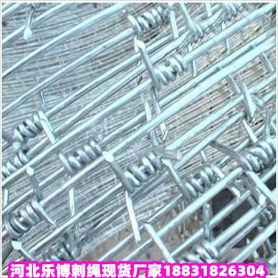 \KS12̖z@־GoW(wng)F(xin)؛(yng)