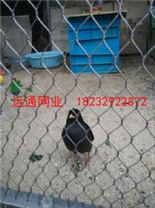 B᲻P䓾W(wng)B@P䓇ھW(wng)