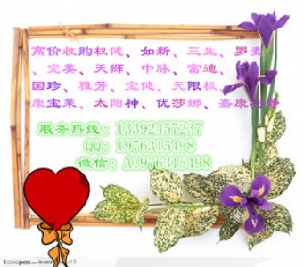 ˾߃rُ(qun)a(chn)Ʒ