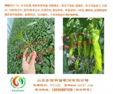 ӱl(f)ŷN簲ȫ