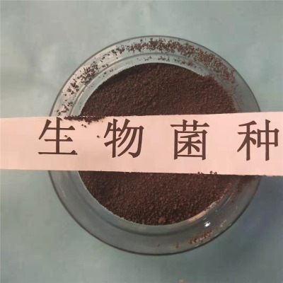 ΢(f)ϾN͵͜ؿ_ԏ(qing)S҈(bo)r(ji)gӭԃ(xn)