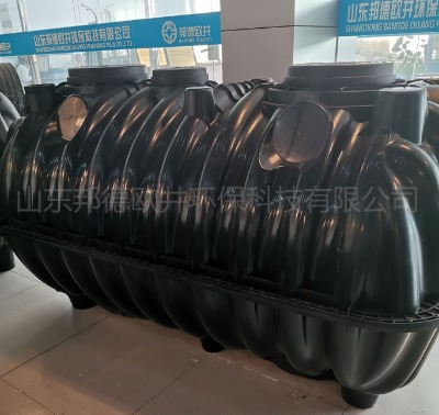 pYSeСx`c(din)S