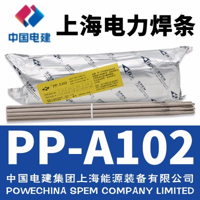 pp-a102/e308l-16P늺l