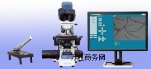 BEION F10wS(x)ȃx