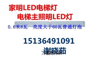 LEDݟLED