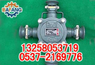 BHD2-100/2TVõ͉|Ӿ