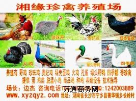 ̶ȸÓء{(ln)ȸ硩Nȸr(ji)