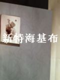 ֘ǵĉ ؉