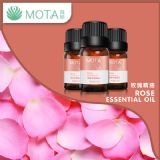 motaĽ͡õ徫10ml