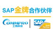 ɽsap˾ ɽsap팍ʩ˾ ɽsap erpϵ