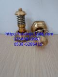 qx103232qx103233Ǹgdؿyо
