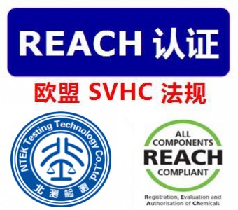 WreachJ(rn)C reach169(xing)zy(c)(w)