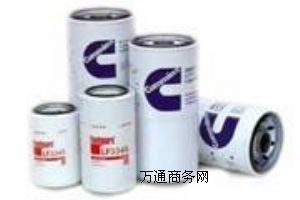 l(f)늙C(j)MS-B(yng)