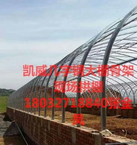 Sֱ(yng)\7045Ǽ܎䓙Ca(chn)S