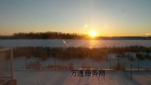 (yu)(yu)gṩg(w)