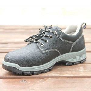 wQȫЬwQҰȫЬfh16-0101 ڱЬS ڱ
