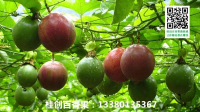 ϺϺl(f)rNVԽϰa(chn)