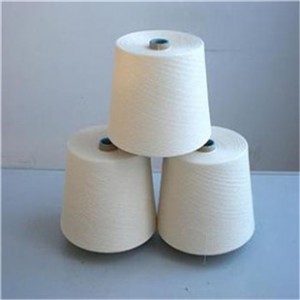 40sἃ޼ 40֧޼