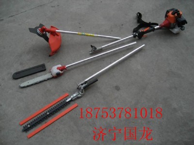 ֦֦߿֦֦