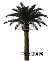 (sh)(yng)(sh)