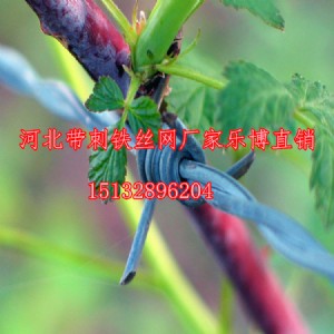 ȦɽFzW(wng)ϱO(jin)zKoW(wng)ƽɽF޼