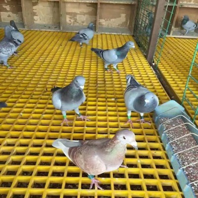ɫӹˮw؜w岣w嗣w
