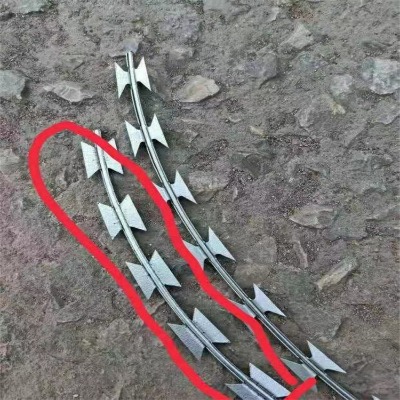 ֱ50̾W̎\PIW