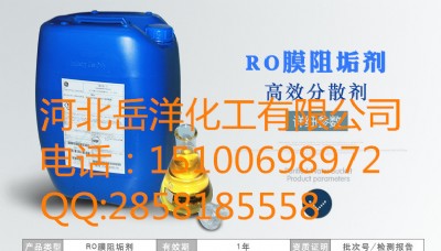 roĤB͸蹸