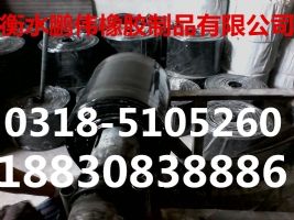 (yng)䓰ā?zhn)ֹˮS Sr-
