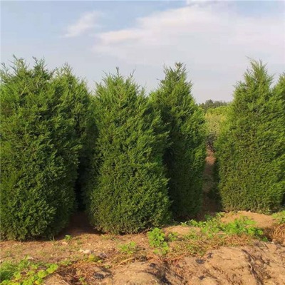 1ס2~2~l(f)؛3~r