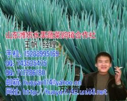 [ձ[FU[ُkُN