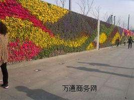 ƌW(xu)wGǰֱGO(sh)Ӌ(j)Gʩ