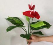 Sҵ̓r(ji)Ntưڒ