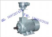 (gu)YBF3-355M1-4SL(fng)C(j)늄(dng)C(j)/L(fng)C(j)늄(dng)C(j)