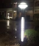 ledͥԺ ͥԺS