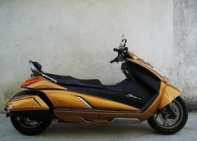 ľgemma250