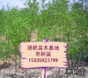 (yng)磬rɽ磬Ʒ
