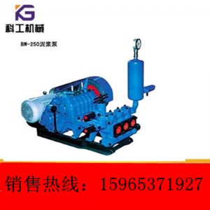 L(zhng)ڹ(yng)BW-250{ãܷ(wn)