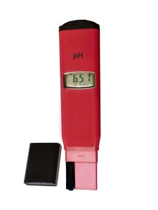 ph-081 Pʽ/ضȜyx